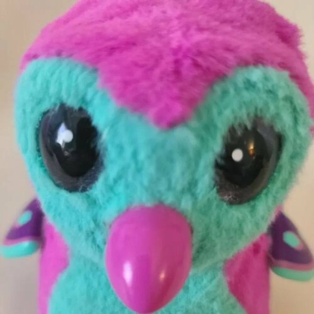 Spin Master Hatchimals Penguala Purple Pink Hatched Opened No Egg
